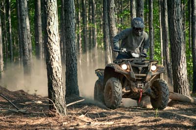 2018 - 2021 Yamaha Kodiak 700