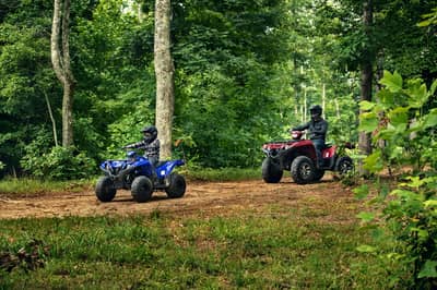 2019 - 2022 Yamaha Grizzly 90