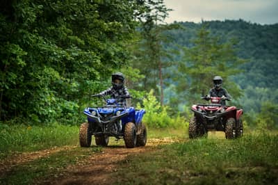 2019 - 2022 Yamaha Grizzly 90