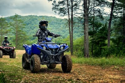2019 - 2022 Yamaha Grizzly 90
