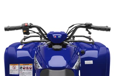 2019 - 2022 Yamaha Grizzly 90