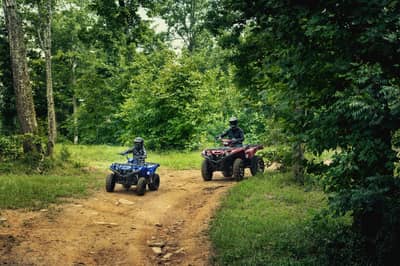 2019 - 2022 Yamaha Grizzly 90