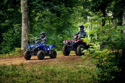 2019 - 2022 Yamaha Grizzly 90