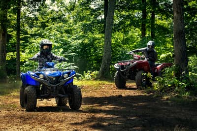2019 - 2022 Yamaha Grizzly 90
