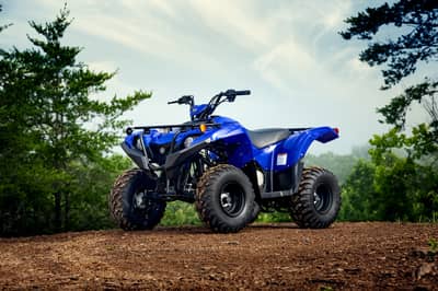 2019 - 2022 Yamaha Grizzly 90