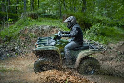 2021 Yamaha Grizzly EPS