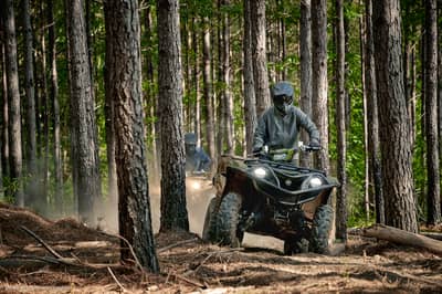 2021 Yamaha Grizzly EPS