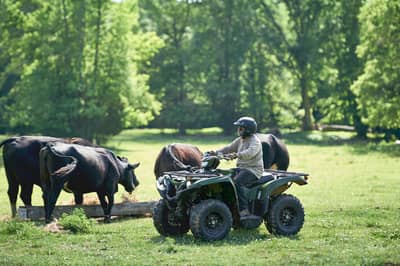 2021 Yamaha Grizzly EPS