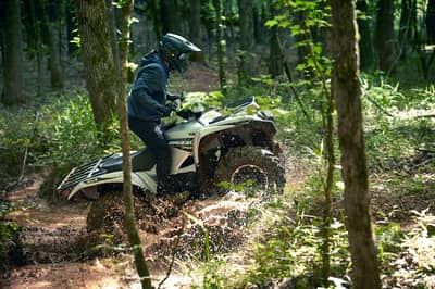 2021 Yamaha Grizzly EPS