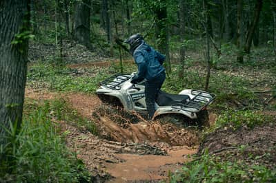 2021 Yamaha Grizzly EPS