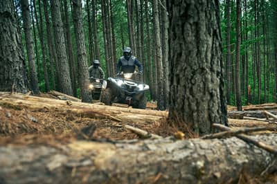 2021 Yamaha Grizzly EPS