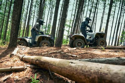 2021 Yamaha Grizzly EPS