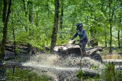 2021 Yamaha Grizzly EPS
