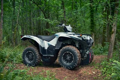 2021 Yamaha Grizzly EPS