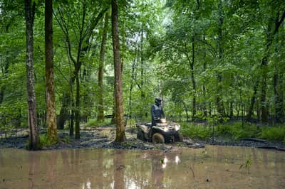 2021 Yamaha Grizzly EPS