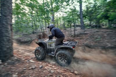 2021 Yamaha Grizzly EPS
