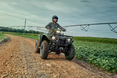 2019 Yamaha Kodiak 450