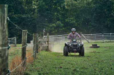2019 Yamaha Kodiak 450