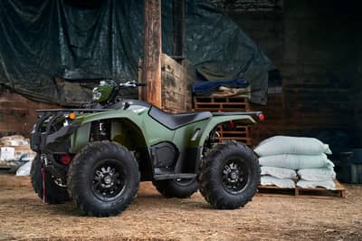 2019 Yamaha Kodiak 450