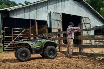 2019 Yamaha Kodiak 450
