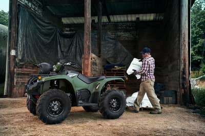 2019 Yamaha Kodiak 450