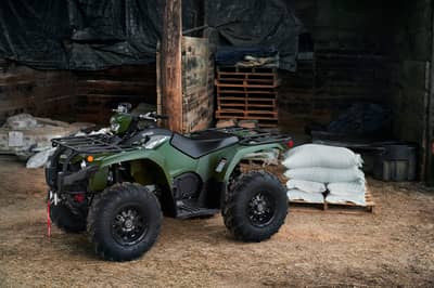 2019 Yamaha Kodiak 450