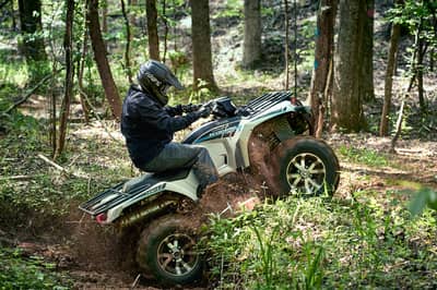 2019 Yamaha Kodiak 450