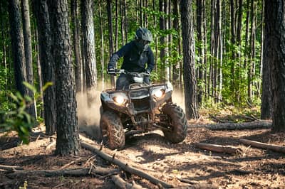 2019 Yamaha Kodiak 450