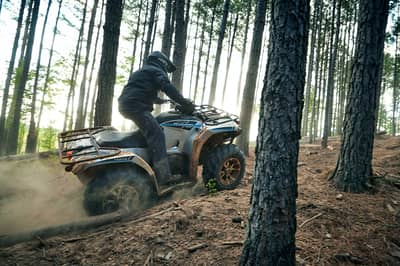 2019 Yamaha Kodiak 450