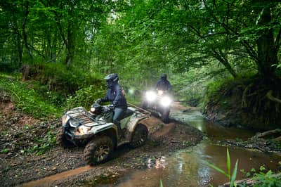2019 Yamaha Kodiak 450