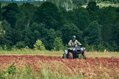 2019 Yamaha Kodiak 450