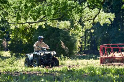 2019 Yamaha Kodiak 450