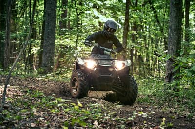 2019 Yamaha Kodiak 450