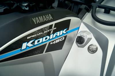 2019 Yamaha Kodiak 450