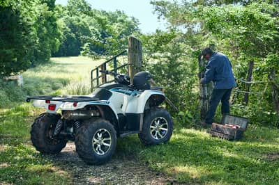 2019 Yamaha Kodiak 450