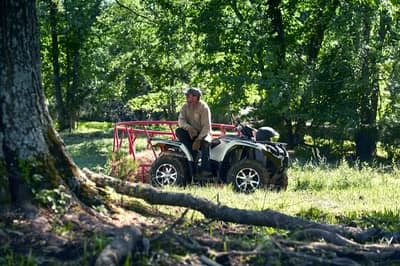 2019 Yamaha Kodiak 450
