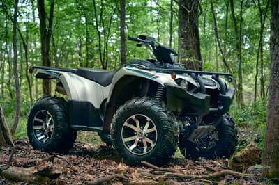2019 Yamaha Kodiak 450
