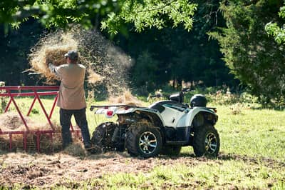 2019 Yamaha Kodiak 450