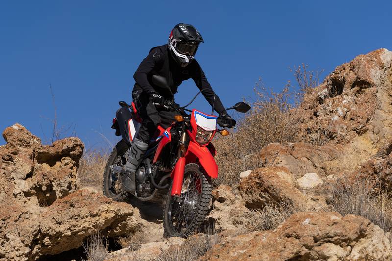 2021 Honda CRF300L / CRF300L Rally
