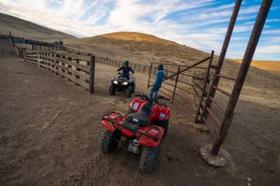 2021 Honda FourTrax Recon