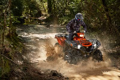 2021 Yamaha Grizzly EPS