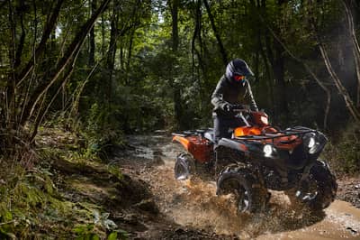 2021 Yamaha Grizzly EPS