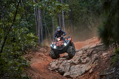 2021 Yamaha Grizzly EPS