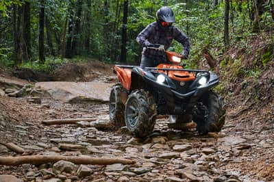 2021 Yamaha Grizzly EPS