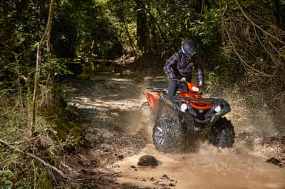 2021 Yamaha Grizzly EPS