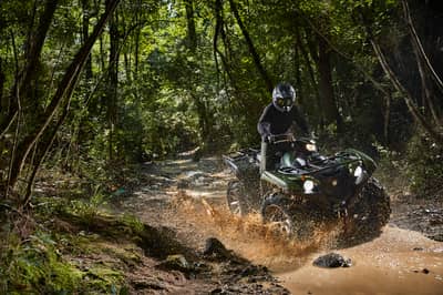 2021 Yamaha Grizzly EPS