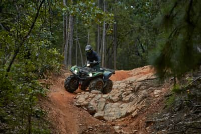 2021 Yamaha Grizzly EPS