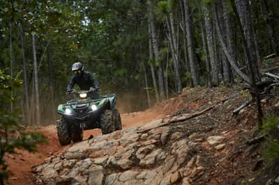 2021 Yamaha Grizzly EPS