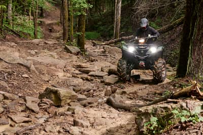 2021 Yamaha Grizzly EPS