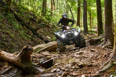 2021 Yamaha Grizzly EPS